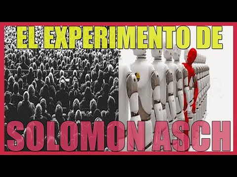El Experimento De Solomon Asch (1951) Influencia De La Mayoría y la Conformidad Normativa