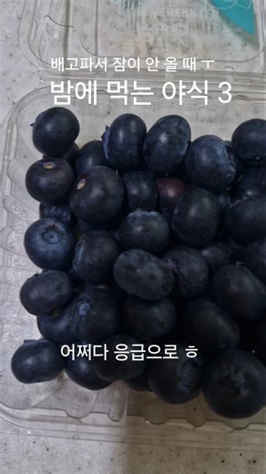 밤에 먹어도 좋은 야식 3 # #블루베리 #계란 #그릭요거트 #저칼로리 #고단백 #음식 #건강 정보 #살림팁