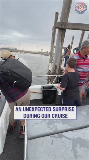 Cute seal hops onto our boat | Bright Side