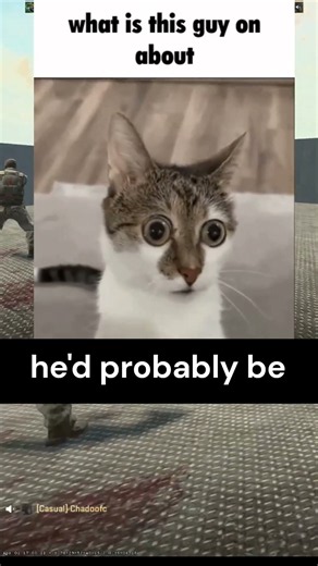 Mudd's story time interruption. Did he overreact? | #counterstrike