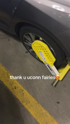 Stylish Cowgirl Boots from UConn Fairies