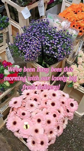 the bloom room Bristol on TikTok