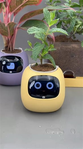 PLANTSIO Ivy Gen 2 Plant-Pet