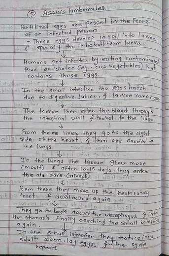 #Ascaris Lumbricoides #Easy life cycle #easy notes # microbiology #pathology