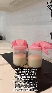 325K views · 1.7K reactions |  I tried this rubber glove experiment today to let me know when my starter was done. I noticed the one the right peaked, dropped, and then grew again. As the yeast ferments the flour, it will produce CO₂, which will inflate the glove. This is a natural byproduct of the wild yeast and lactic acid bacteria consuming the sugars in the flour. It’s a great visual to show fermentation in action! | Made With Loave | Facebook