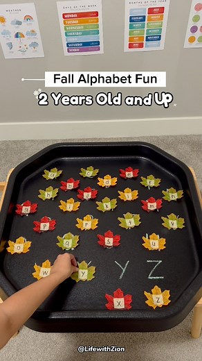 🍁 Looking for a fall activity about alphabet match? Set up this simple leaf letter match and enjoy learning together! 🍂💛 #montessoriactivities #diyactivitiesforkids #fallactivity #autumn #toddleractivityideas #preschoolactivities #kindergartenactivities #alphabetactivities | Life with Zion