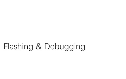 10 Zephyr Flash&Debug