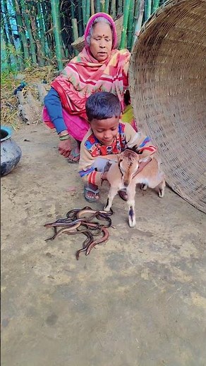 हरे राम हरे राम कृष्ण कटहल जादू 🙏🚩😱|| Hare rama hare krishna bhakti gana arjun kirtan part-174