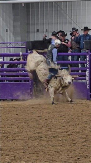 Back at the K-State Rodeo | Things to Do in Manhattan KS | Weber Arena | College Rodeo 2026
