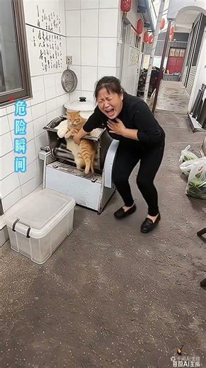 Kitchen shock, dangerous moment and frightening moment