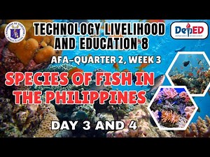 TLE 8- AFA, Quarter 2, Week 3, Day 3 & 4