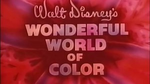 The Wonderful World of Disney Disneyland Around the Seasons 16mm Eastman Kodak Film