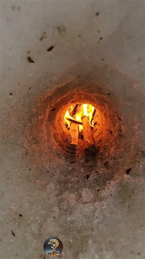 How to survive in the snow with just a piece of wood.