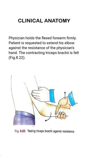 Clinical Test for Triceps Brachii Strength