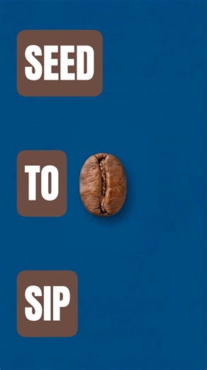 Coffee's Journey: Seed to Sip (#timelapse )