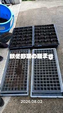 秋冬野菜の種まき 2026.08.02