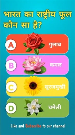 GK Quiz Hindi | Samanya Gyan Questions | Exam GK #gk #gkquestions #gkindia #gkinhindi