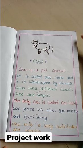 6th class English project work...✍️