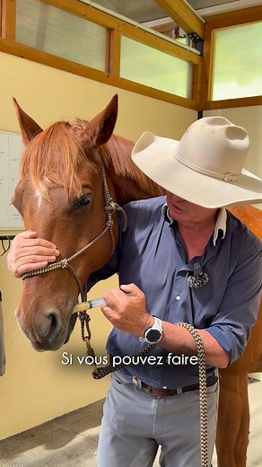 { ASTUCES_ANDY } " C'est difficile de vermifuger mon cheval, qu’est-ce que je peux faire ? " Profitez d'autres vidéos en rejoignant la communauté du Horseman's Club! https://f.mtr.cool/cnisbultvk #horsemansclub #andybooth #horsemanscience #horsemanship #animaderm #fautras #antares #dynavena #corderiemansas #esclaboratoire #nellumbo #cheval #cavalier #confiance #contrôle #connexion | Andy Booth