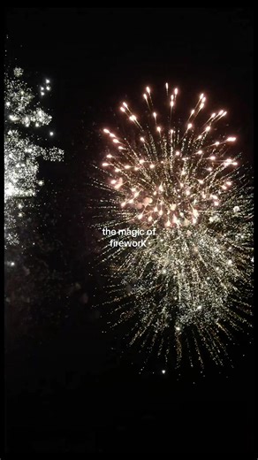 #firework #magic #silvester #2026 #fyp