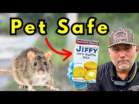 KILL ALL Rats And Mice Around Your Home. Safe For Pets!
