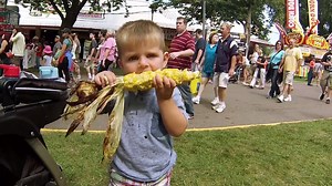 203K views · 3.2K reactions | The Great Minnesota EAT-Together starts tomorrow! What’s on your Must-Eat List? 肋拏戀綾陵 | Minnesota State Fair | Facebook