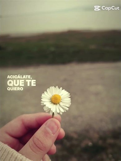 Blumen😍#blumendeko #blumenstrauß #blumen