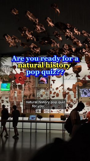 AMNH on TikTok