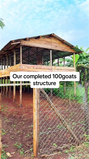 Goat Farming Structures and Designs