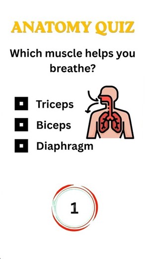 Anatomy Quiz 🔥