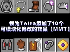 我为Tetra新增了10件可用各种材料升级或改装的饰品！【MMT1.3.0更新公告】