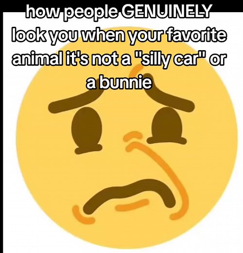Stop the Performative Reactions to My Favorite Animal