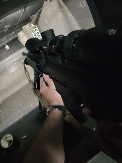 DPMS LR 308