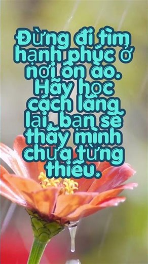 Bạn có đang sống quá ồn… để nghe được lòng mình không?