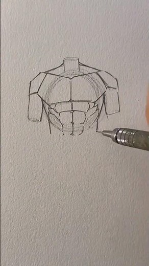 How to draw male torsos