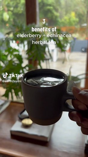 Unlocking the Power of Elderberry and Echinacea Herbal Tea