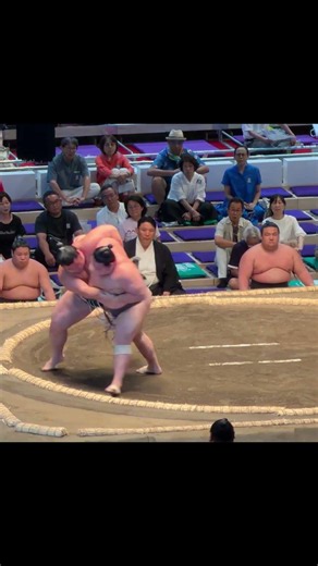 大花竜VS貴健斗！大相撲名古屋場所2026年7月