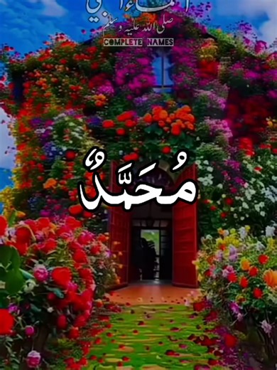 Exploring the Life of Muhammad (PBUH) and Islamic Teachings