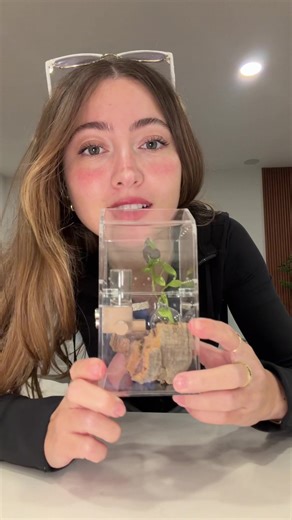 Nichole🎀 (@janicenicholee)’s videos with original sound - Nichole🎀