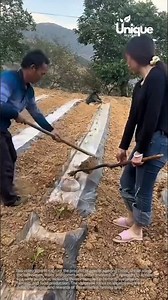 Farming for beginners: a simple guide to crop farming