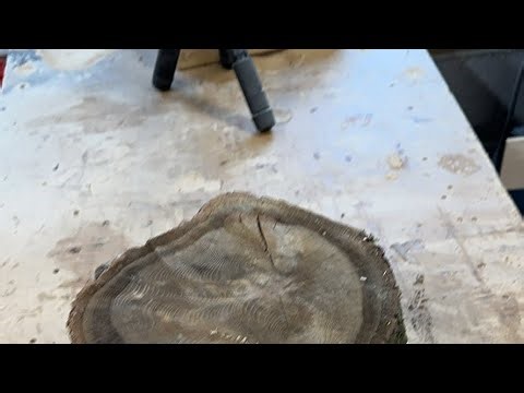 Live-Tree ring print