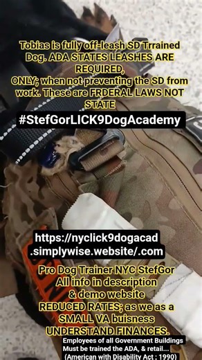 Service Dog ADA laws arnt taught!! #dogtrainer #dogs #servicedog #puppy #nature #family #fun #health