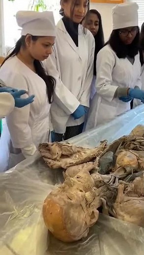 (ORIGINAL) Post-mortem of a human body in biology lab