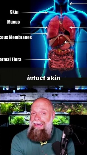 Innate Immune System: Your Body's First Defense Explained