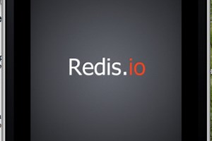 Redis Reference App
