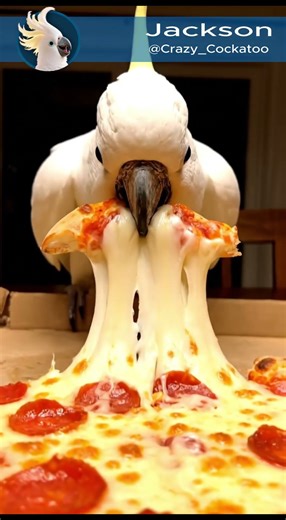 How do people eat this?