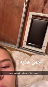 10K reactions · 377 shares | Noha Flower on Reels | Facebook