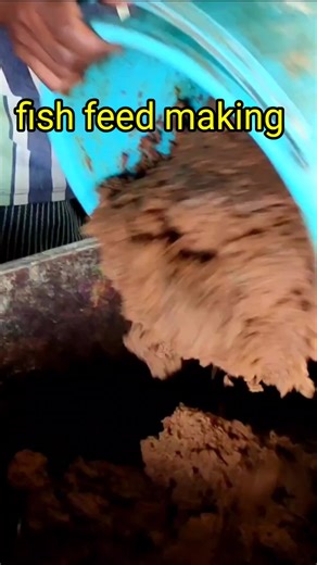 3K views · 31 reactions | homemade fish feed making | Fish Info | Facebook