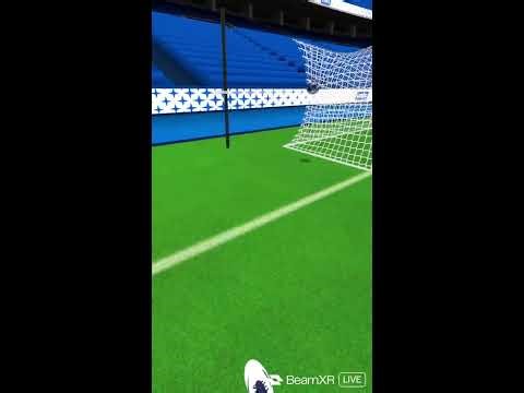 vrfs stars with fans and maybe priv codes