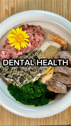 3.7M views · 7.3K reactions | A Feast for Teeth & Tummies 醴 Because...